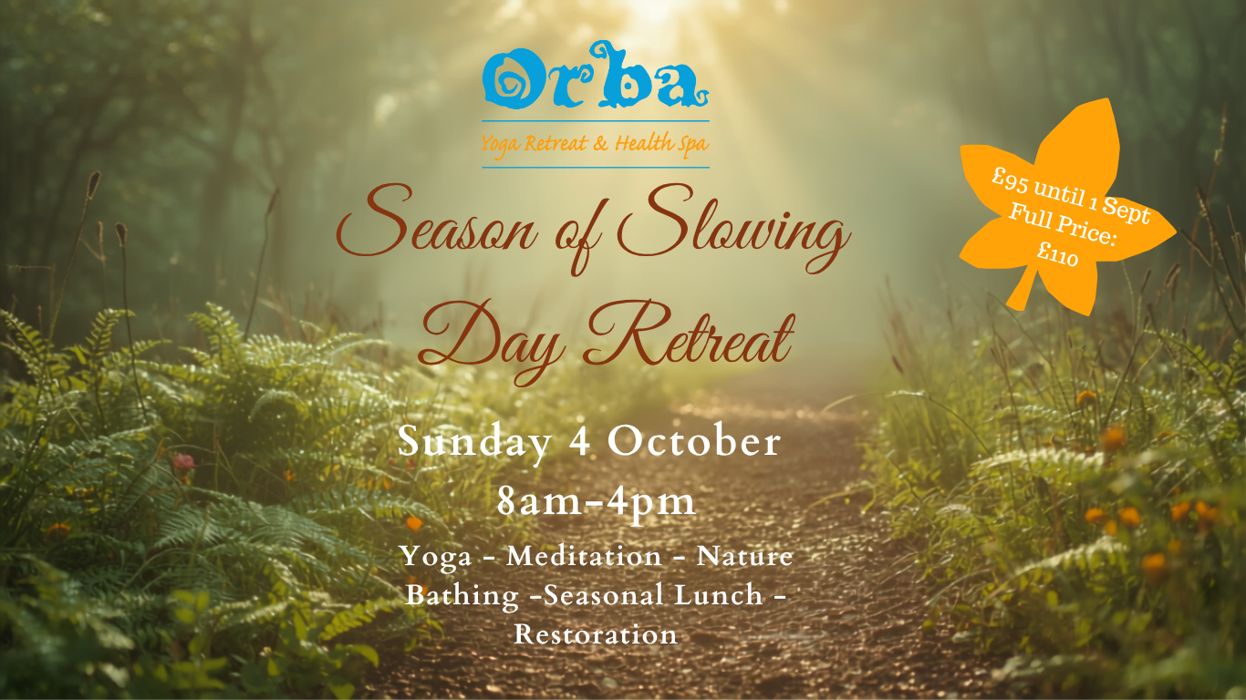 Season of Slowing Autumn Day Retreat